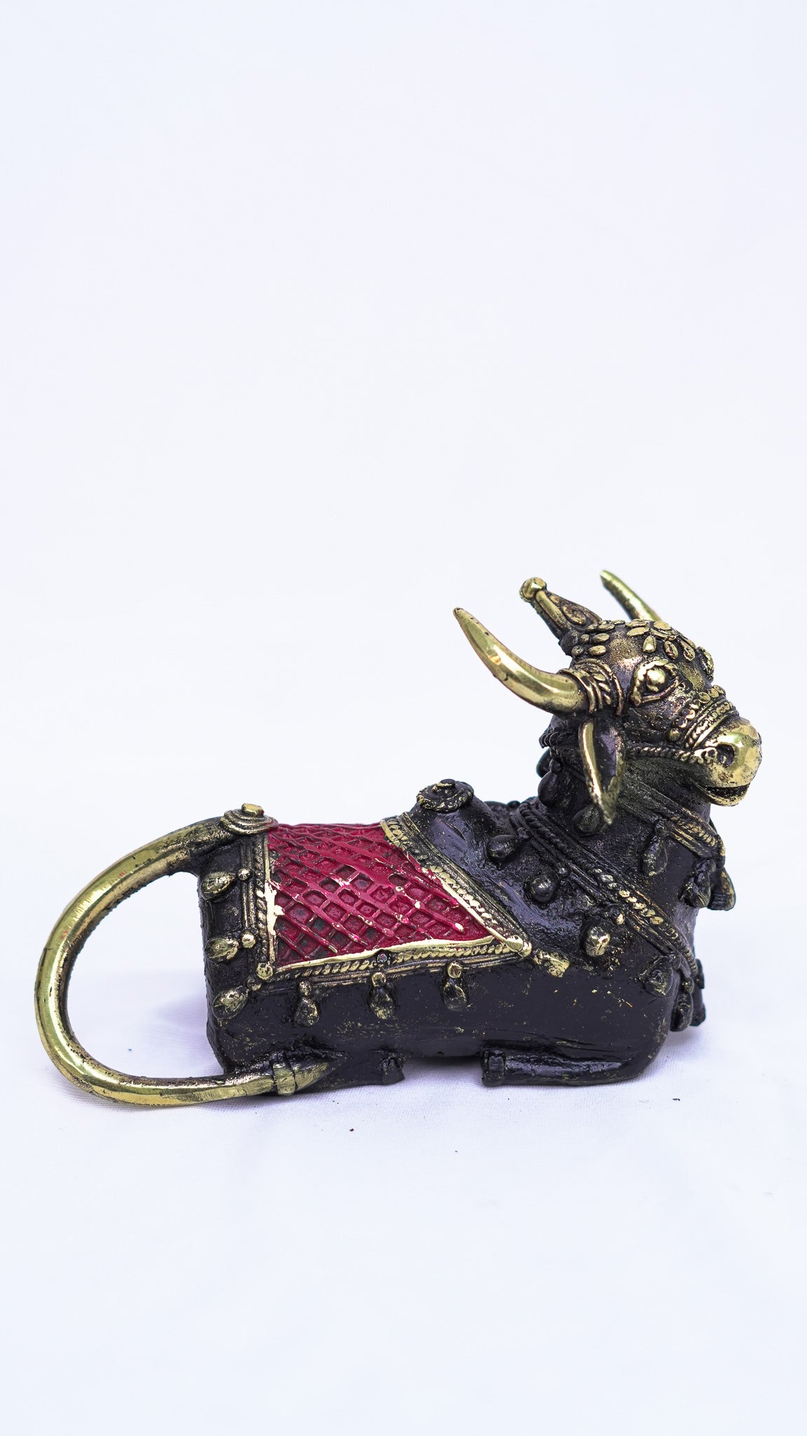 Nandi Coloured (Small)
