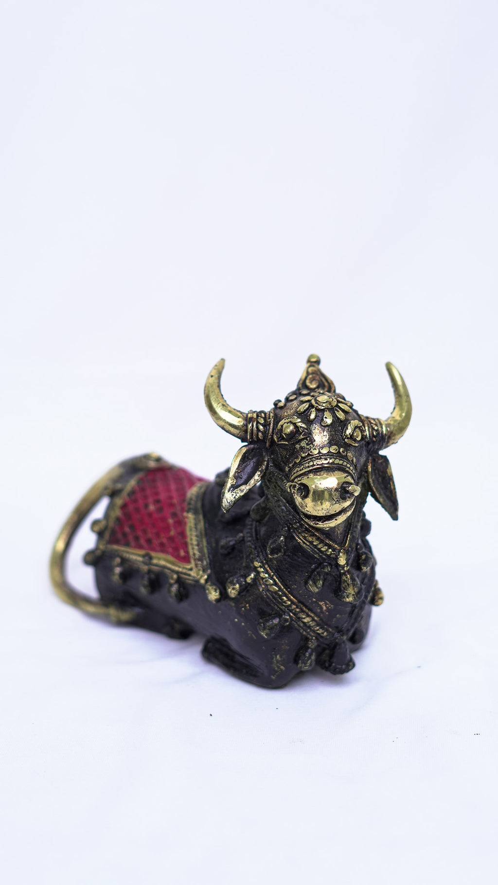 Nandi Coloured (Small)