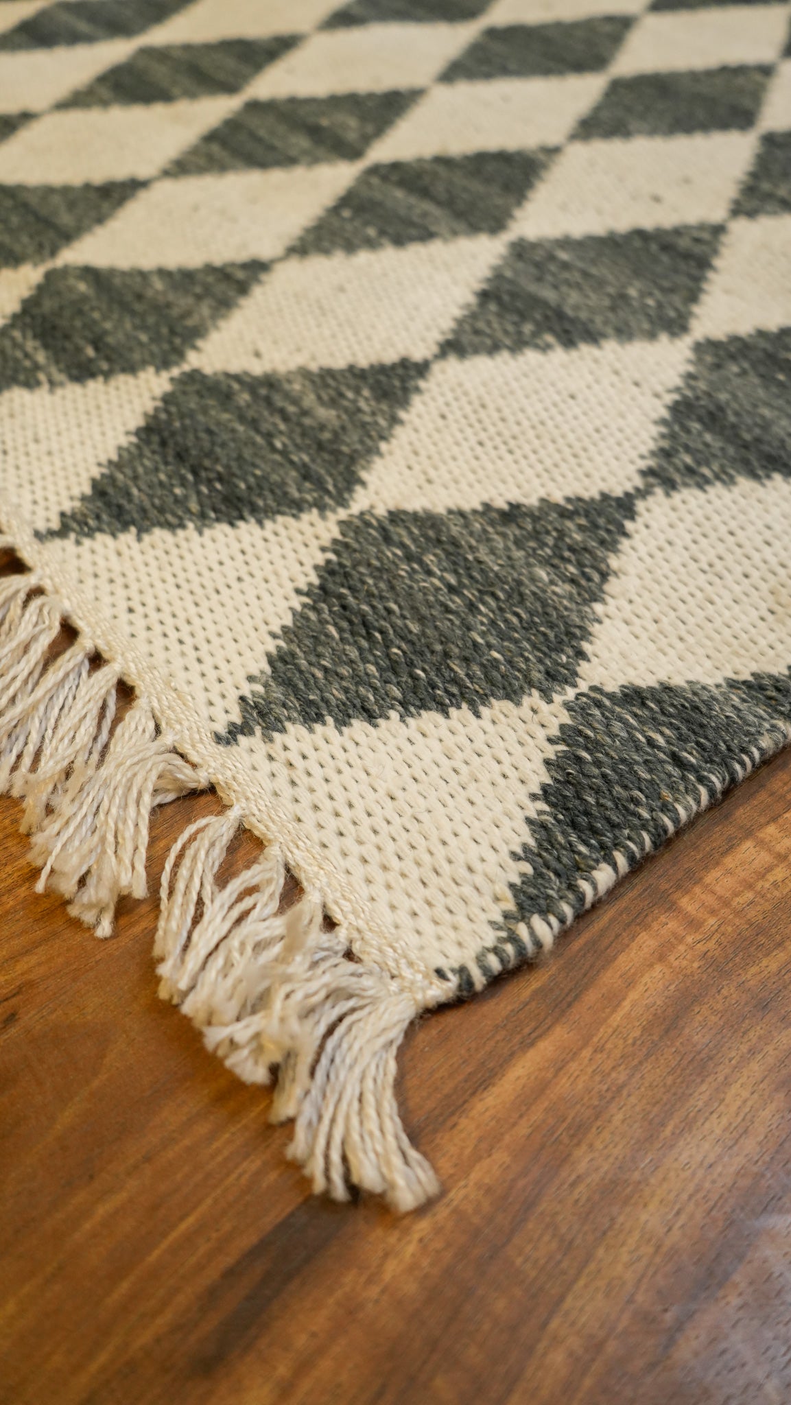 Kilim Shadow Hand-Woven Polypropylene Indoor-Outdoor Rug